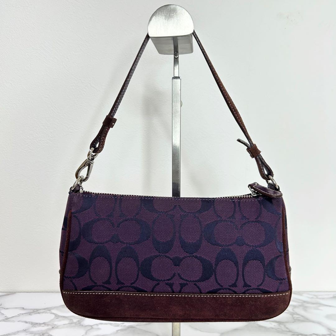 79 COACH コーチ シグネチャー ハンドバッグ