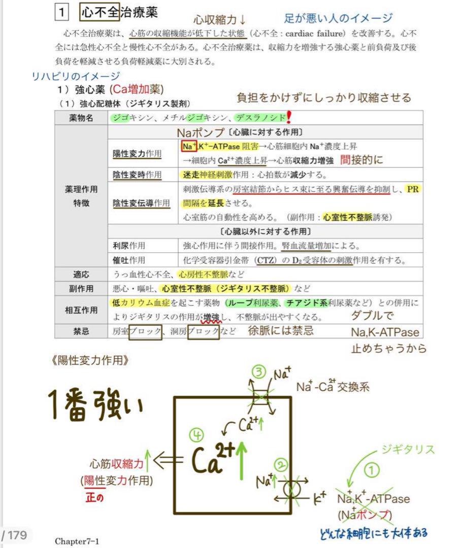 講義ノート　要点まとめ　薬剤師国家試験　(バラ売り可能) 講義ノート 要点まとめ 薬剤師国家試験 (バラ売り可能)