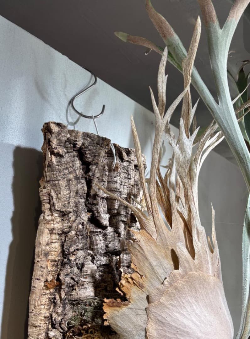 ビーチー アーバンリバー目立った傷や汚れなし