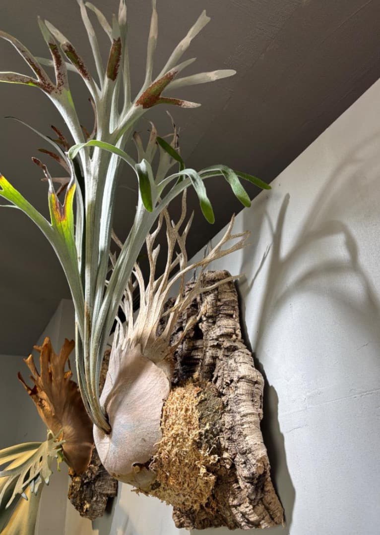 アーバンリバー目立った傷や汚れなし