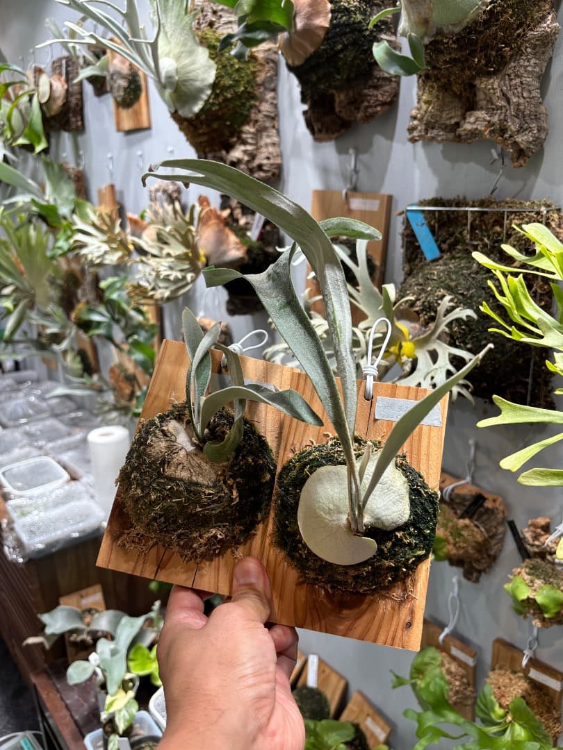 ビーチー アーバンリバー目立った傷や汚れなし