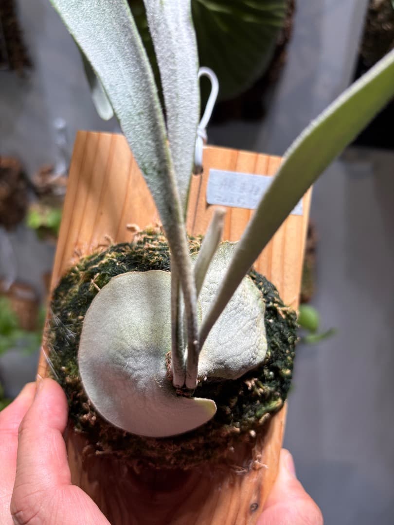 ビーチー アーバンリバー目立った傷や汚れなし