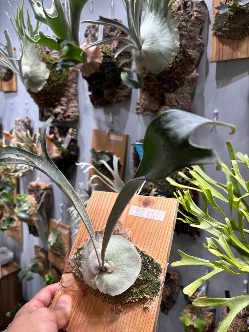 アーバンリバー目立った傷や汚れなし