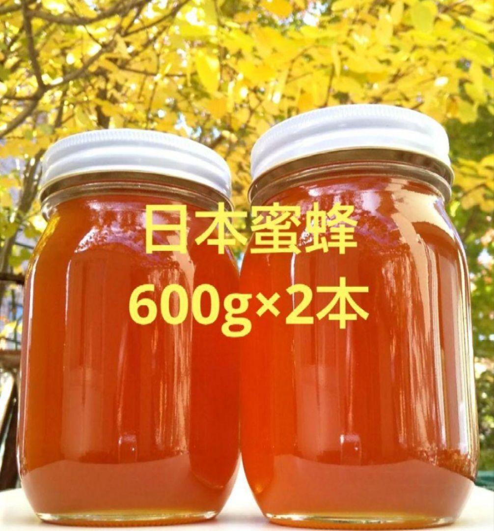 日本みつばち 生ハチミツ 国産 純粋ハチミツ 非加熱 #6 宮城県産
