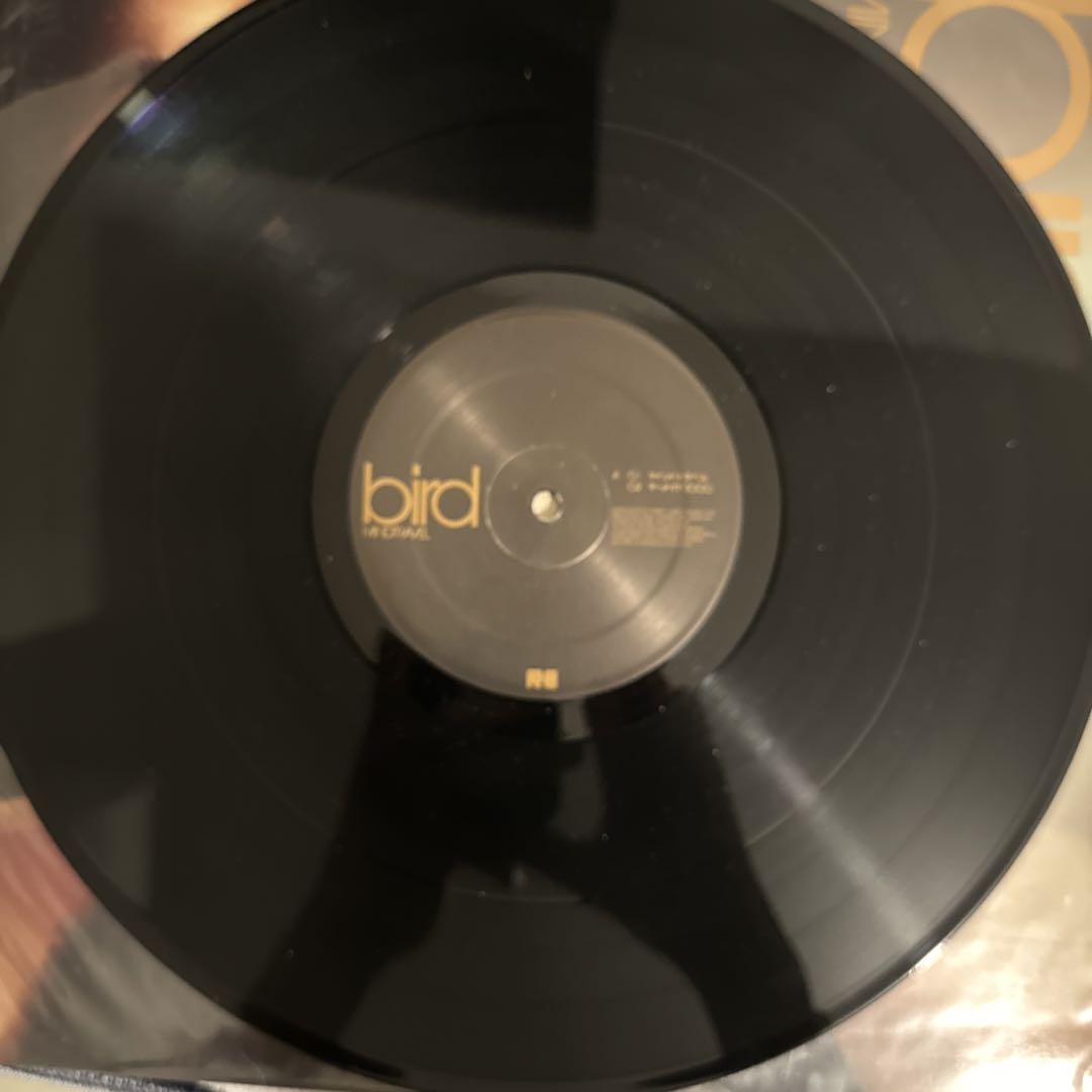 邦楽 bird Mind Travel 3LP