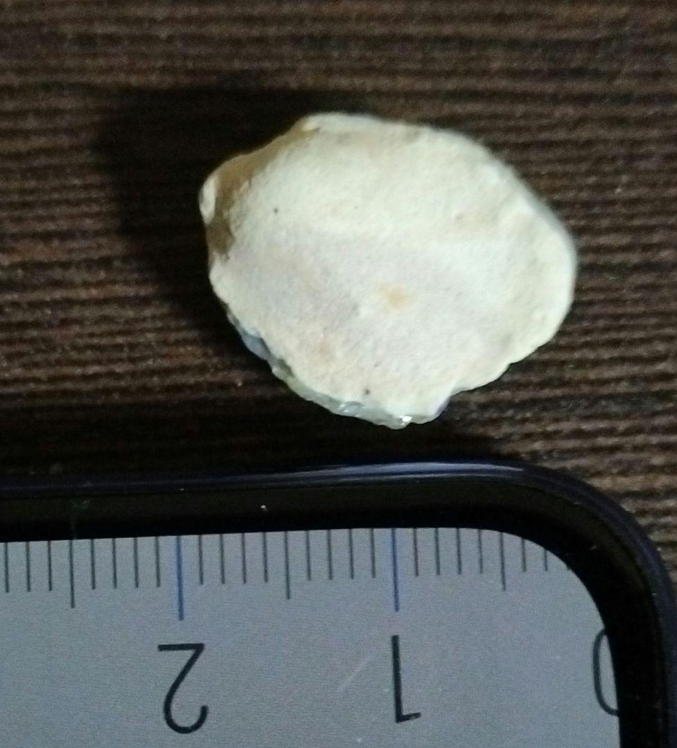 オーストラリア産 未研磨オパール化貝化石 オパライズドシェル 7