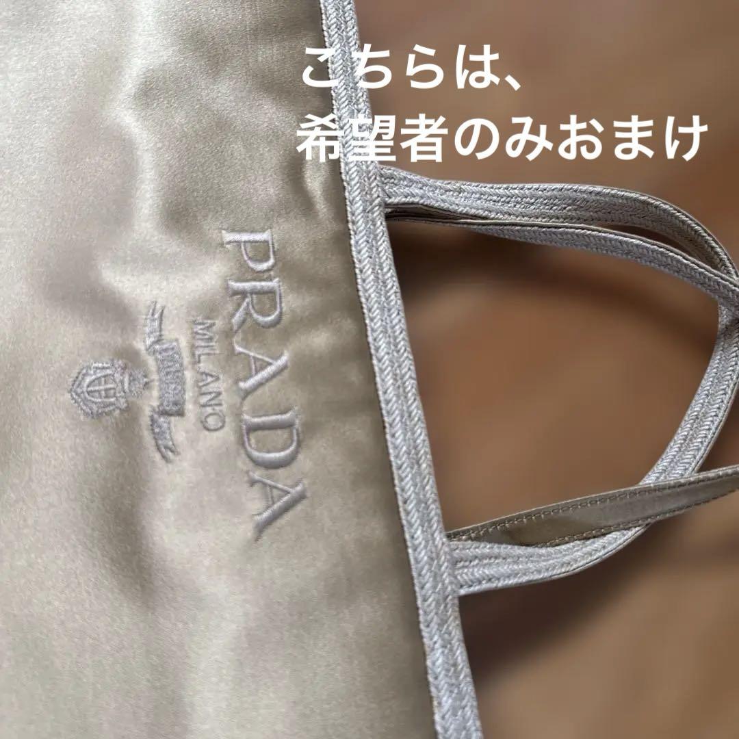 ハイブランド バッグ6点セット まとめ売りプラダ セリーヌ コーチ