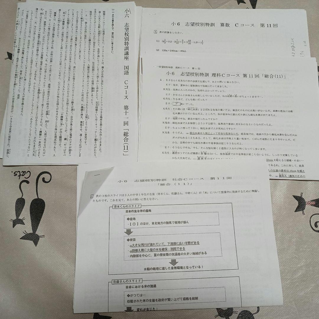 志望校別特訓 国語算数理科社会 Cコース 第11回 名進研(南女滝