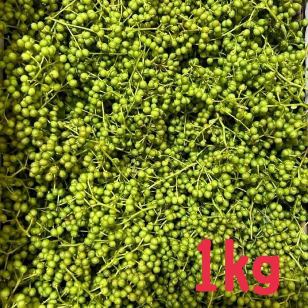 無農薬 山椒の実　1kg 兵庫県産
