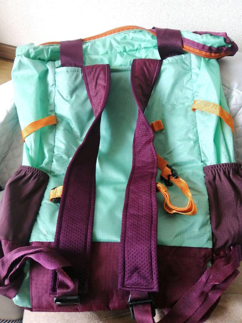新品✨♦Patagonia　ライトウェイトトラベルトートパック
