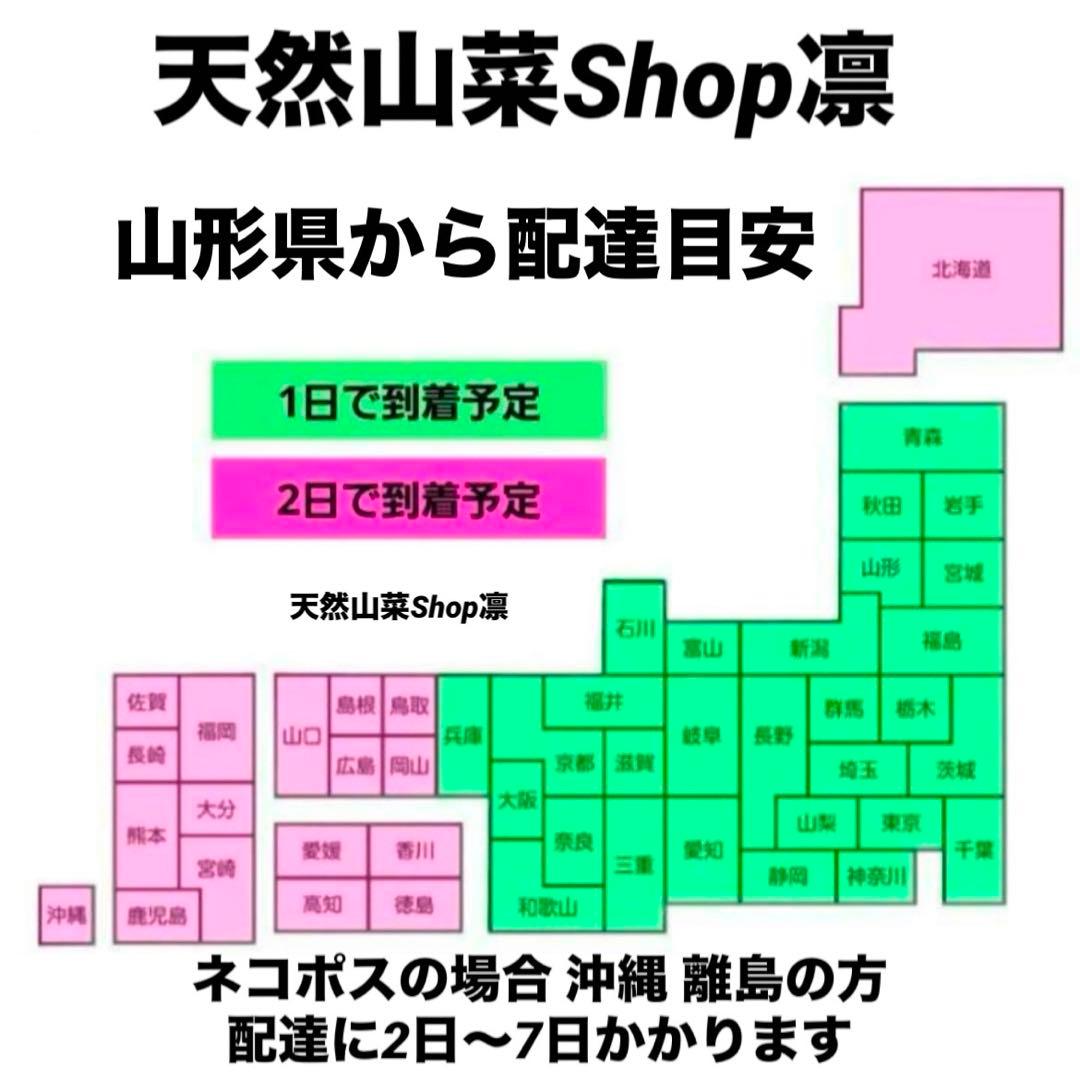 天然きのこ 松茸 国産 良品‼️ マツタケ まつたけ 森の凛さん採取 その171 天然きのこ 松茸 国産 良品‼️ マツタケ まつたけ 森の凛さん採取 その171