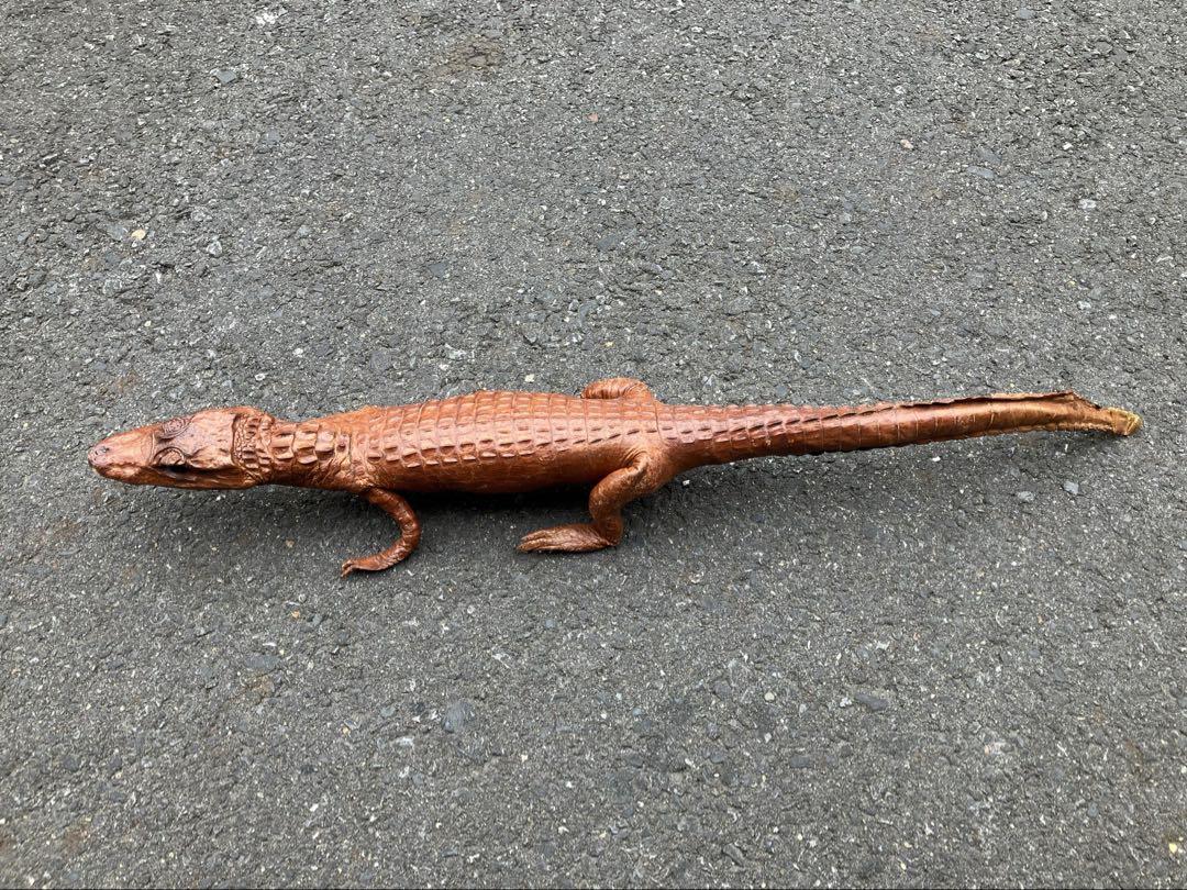 ワニ メガネカイマン 剥製 オッドアイ 置物 昭和レトロ 鰐