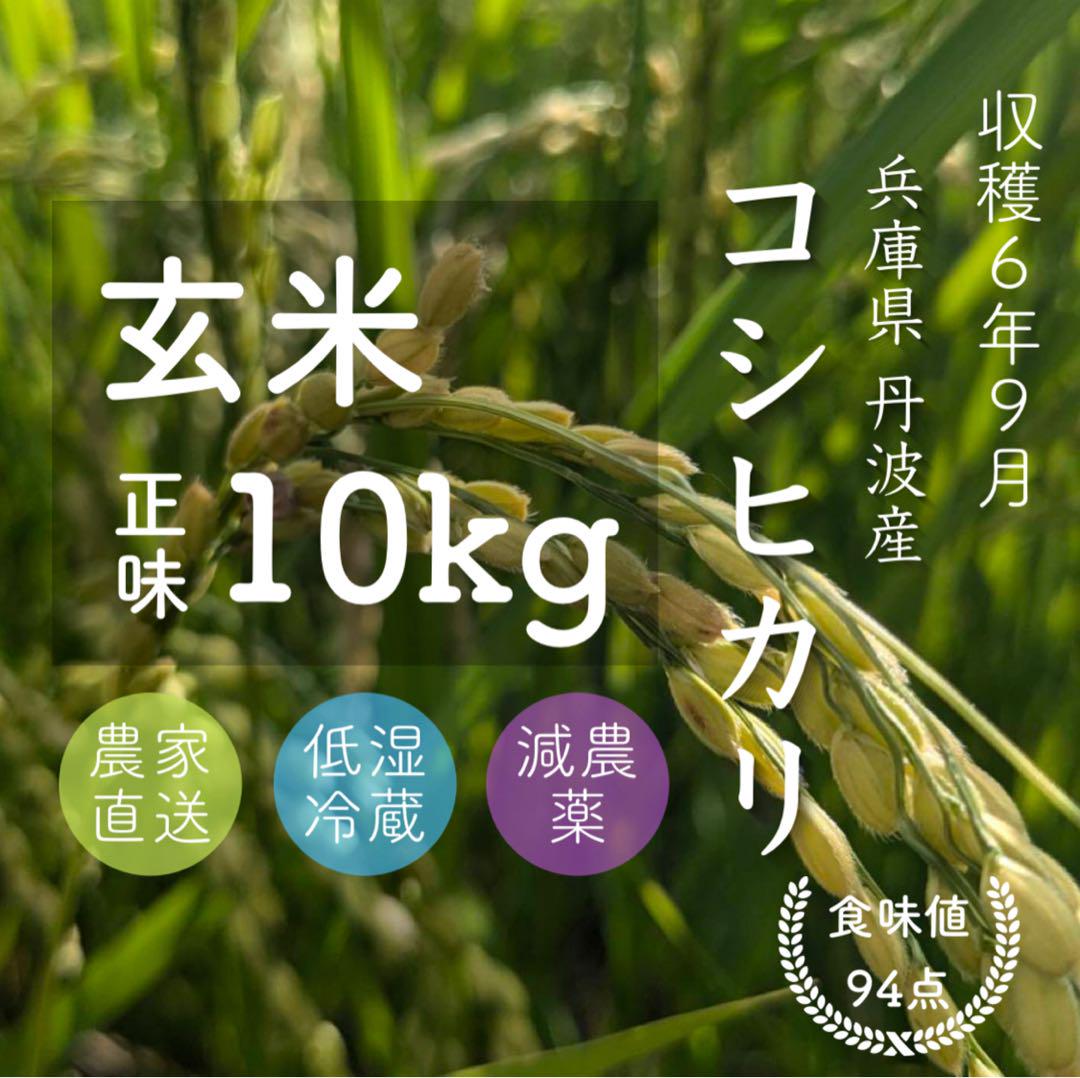 丹波産コシヒカリ 玄米10キロ 令和6年
