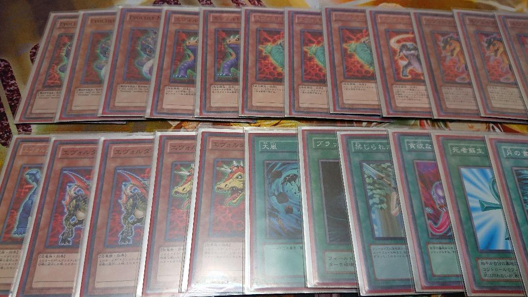 遊戯王 エヴォル 恐竜