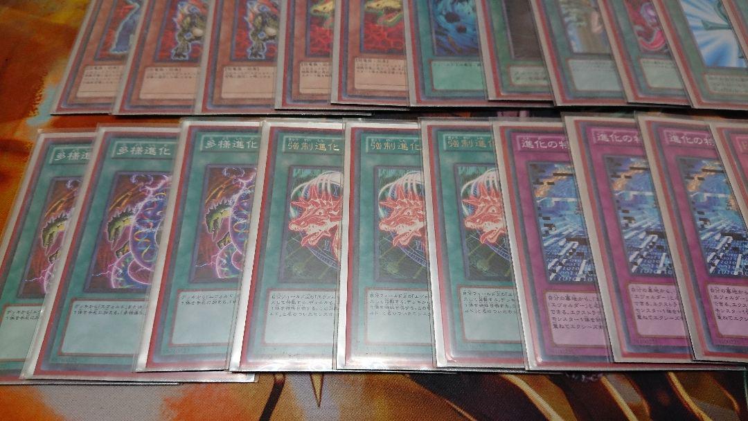 遊戯王 エヴォル 恐竜