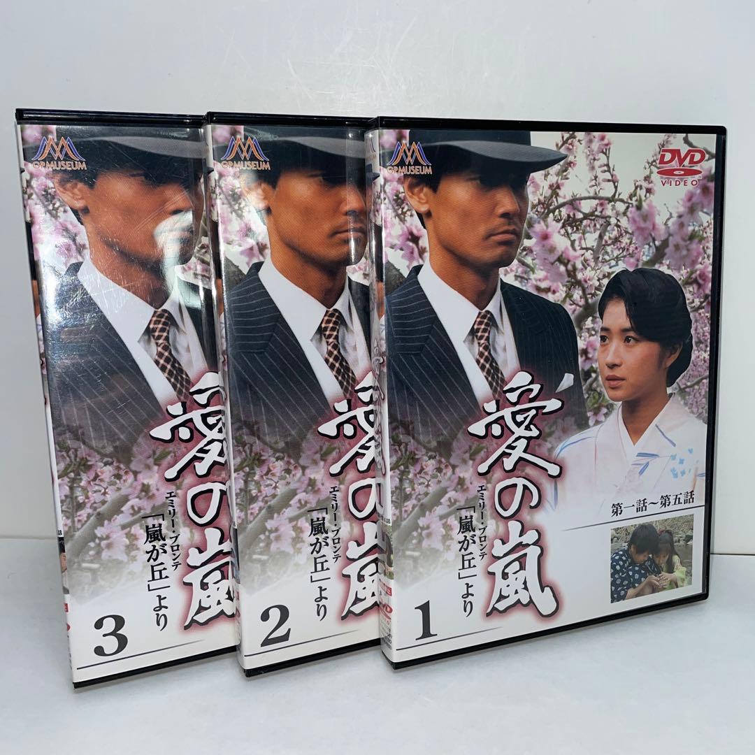 愛の嵐 DVD 13巻セット (1986年のテレビドラマ) メルカリ