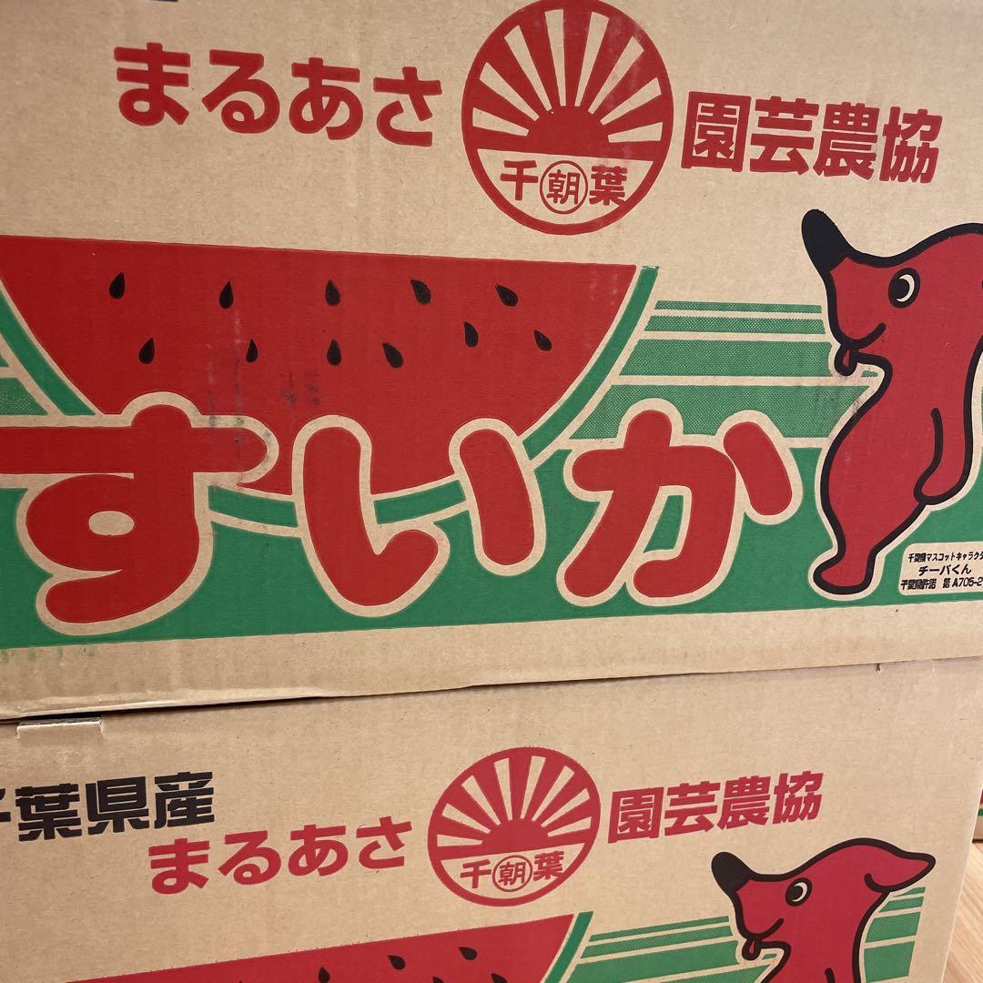 0178千葉県産丸朝大玉スイカ良品6Lサイズ1箱1玉入り - メルカリ