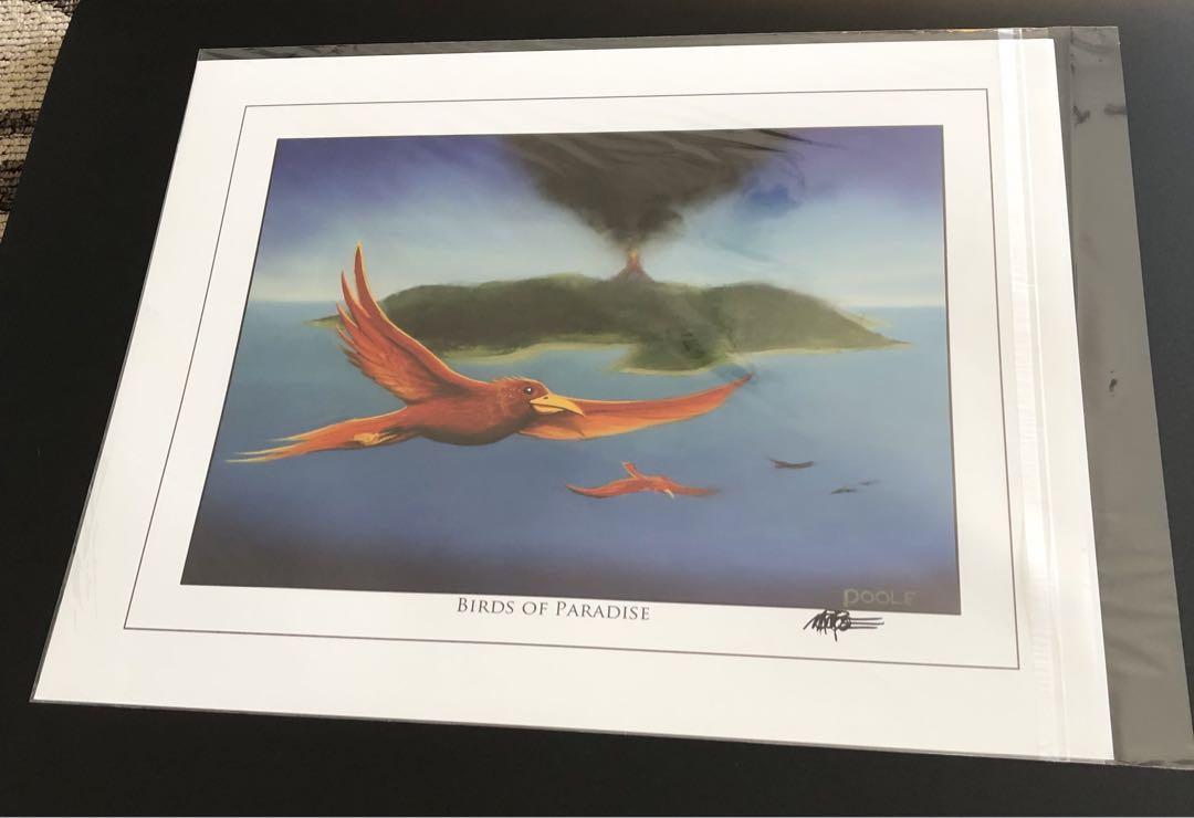 Mark Pooleアートプリント　極楽鳥　Birds of Paradise