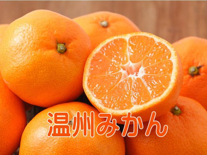 ＊特売！濃縮還元してない・みかんジュース1000ｍｌ×12本　濃厚美味！