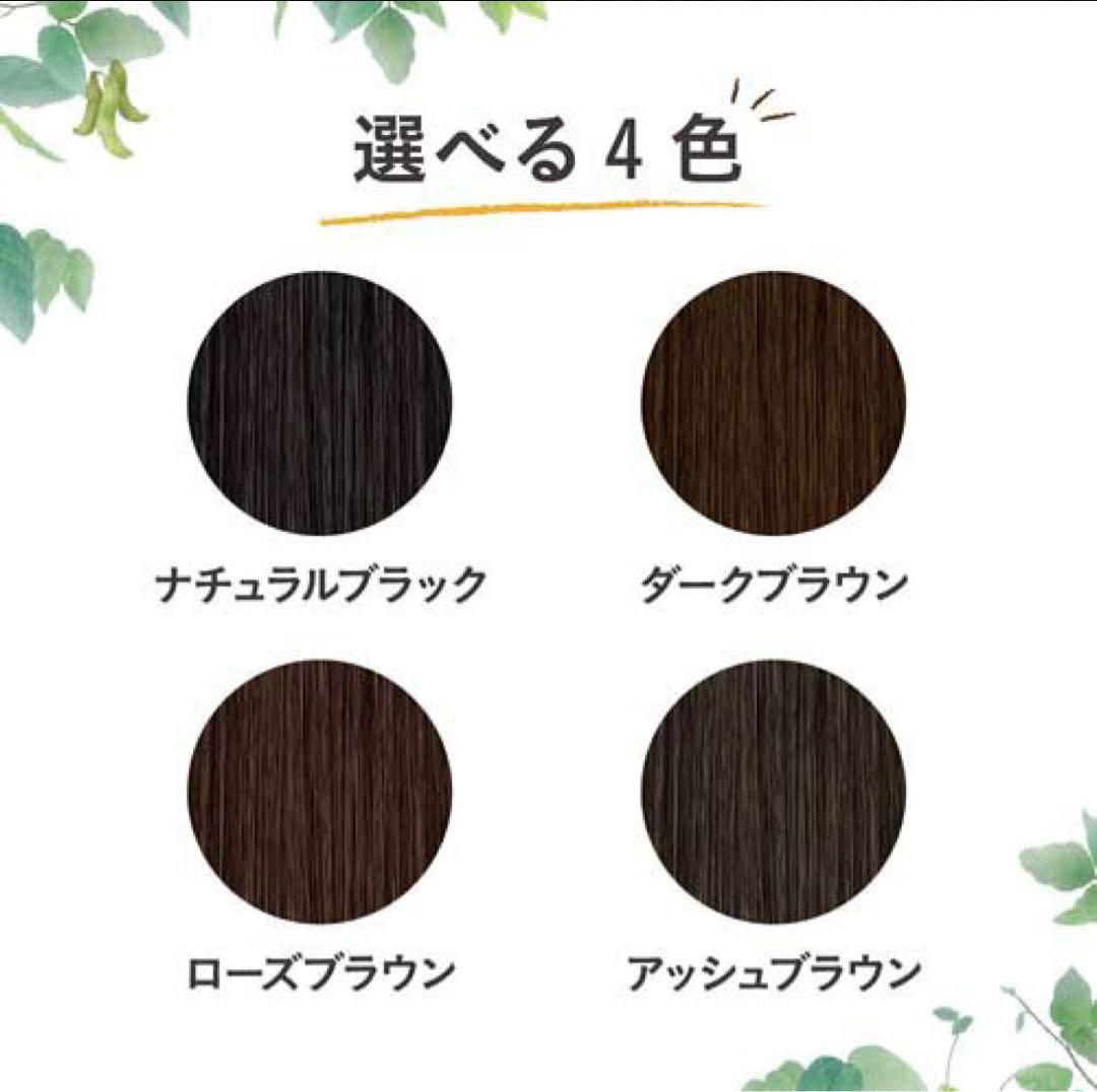 ナチュリラ カラートリートメント 新品つけかえ2＋オマケ残量半分以下ヘッド付き1