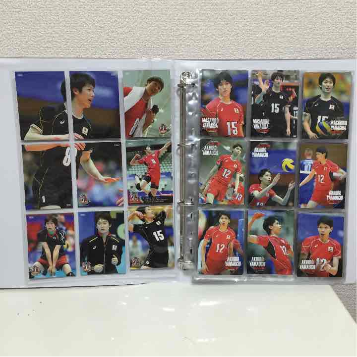 大値下げ！！超激レア！龍神日本 OfficaTradingCardsBinder