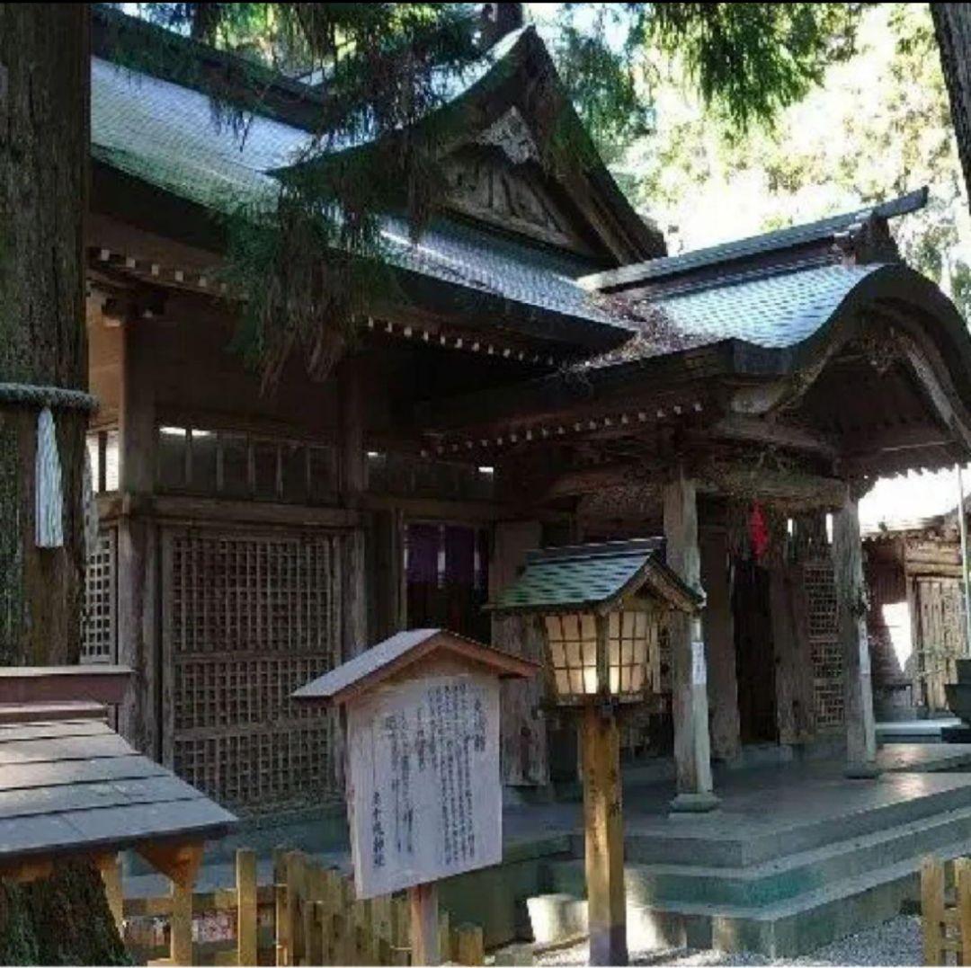 限定⭕️約10年前1点物‼️高千穂の神社神職特別祈願⭕️満願成就‼️金開運招き猫 限定⭕️約10年前1点物‼️高千穂の神社神職特別祈願⭕️満願成就‼️金開運招き猫