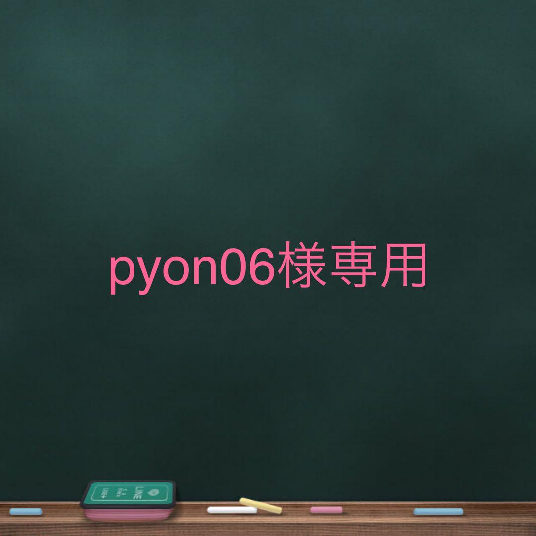 pyon06様専用