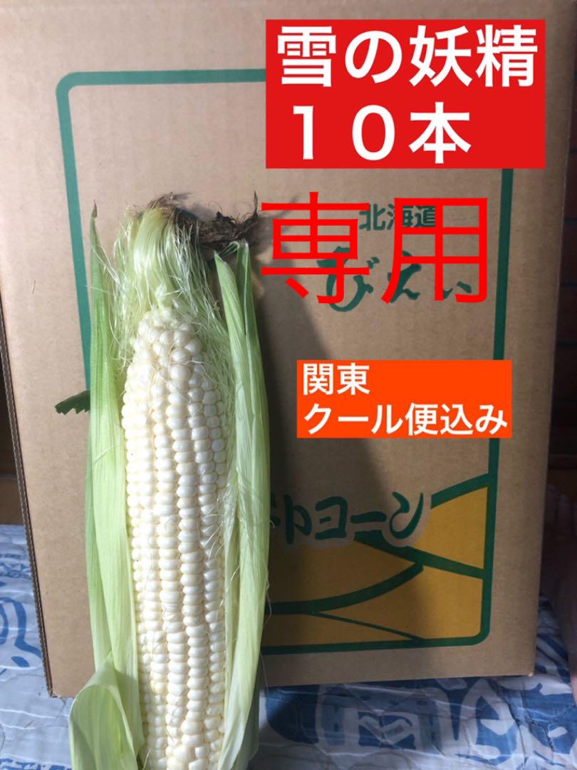 純正直送 専用 10本 クール便 雪の妖精 純正最安|その他,食品 - dcwaindefla.dz 純正直送 専用 10本 クール便 雪の妖精 純正最安|その他,食品 - dcwaindefla.dz
