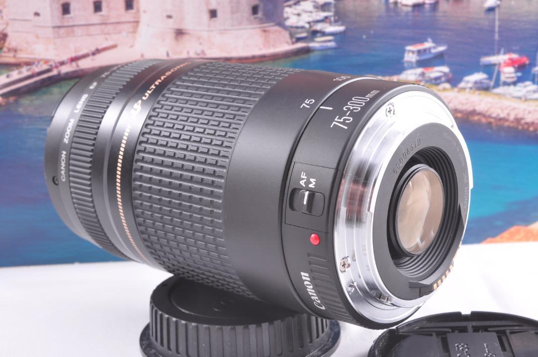 Canon キヤノン 望遠レンズ 迫力の75-300mmこの輝きを望遠で#8 ☆望遠レンズ 輝く今を望遠で！Canon キヤノン F75-300mm #7