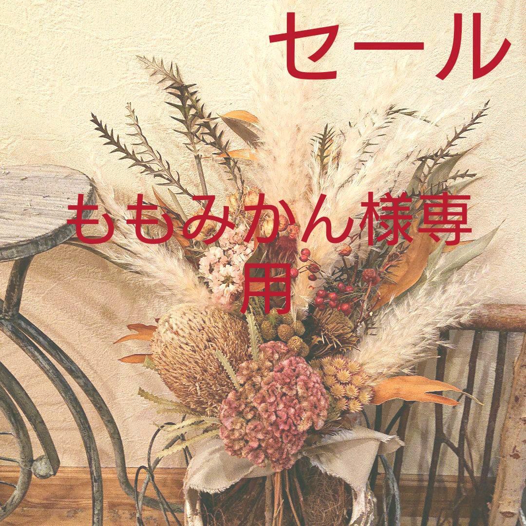 アンティークバンクシアu0026プロテア達