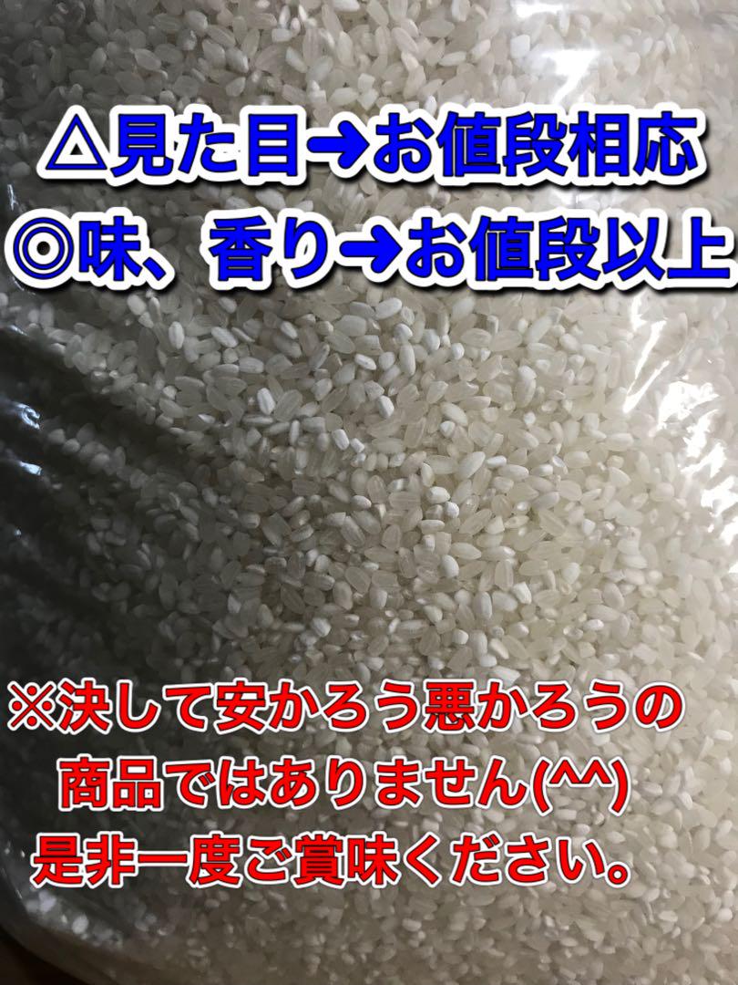 リピーター様多数】コスパ米20kg(5kg×4袋)お米 白米【令和5