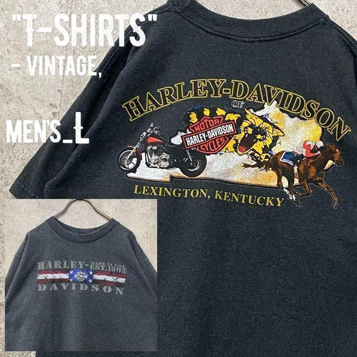レア○USA製00s《ハーレーダビッドソン》両面プリントTシャツ/メンズL