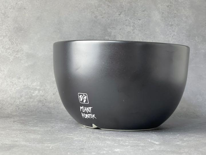 値引 PLANT L-07オリジナル 陶器鉢 植木鉢 HUNTER 花瓶 - www.archersohs.fr 値引 PLANT L-07オリジナル 陶器鉢 植木鉢 HUNTER 花瓶 - www.archersohs.fr