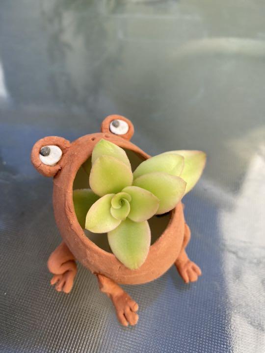 特価大人気 カエル君の合唱団 ミニ植木鉢 ⑨ 売却済み ⁎ᴗ͈ˬᴗ͈⁎ Y8Qiy-m48442101761 高品質HOT