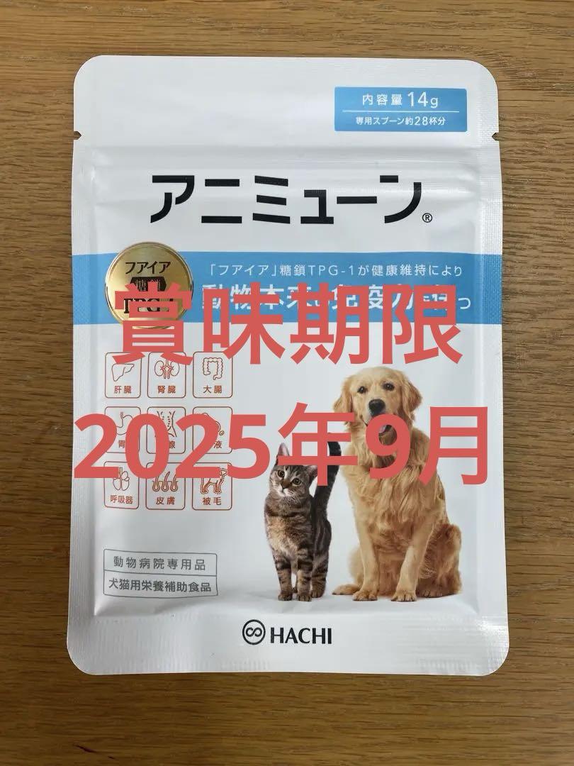 NiziUniverese 香港 ファンコン 入場者限定 トレカ マコ MAKO