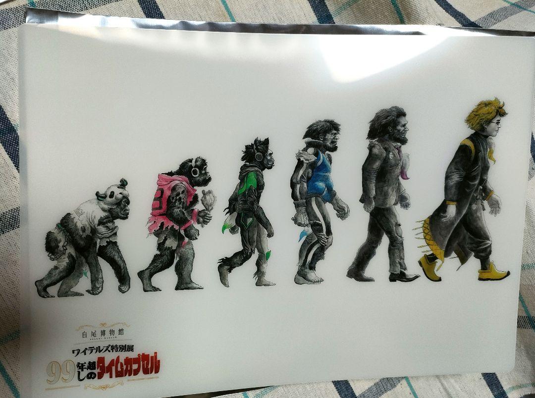 ワイテルズ 特別展 白尾博物館 入場特典 下敷き 2枚セット ワイテルズ 白尾博物館 入場特典 下敷きセット（SEWACC 2箱 芝