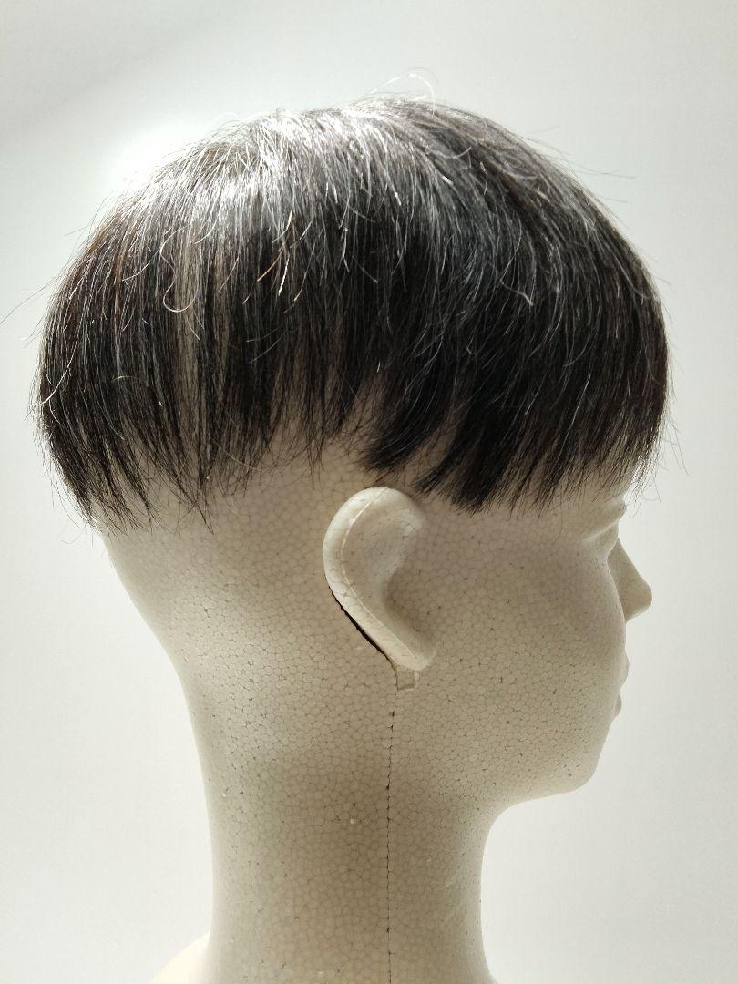 贅沢品 中古男性用かつら 白髪交じりの黒髪 テープ・接着剤使用可能 ウィッグ・エクステ