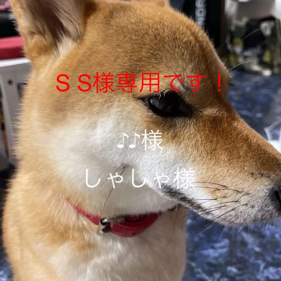 ブラック系多様な グラントイーワンズ 2点 犬用品 ペット用品ブラック系¥13,536-laeknavaktin.is ブラック系多様な グラントイーワンズ 2点 犬用品 ペット用品ブラック系¥13,536-laeknavaktin.is