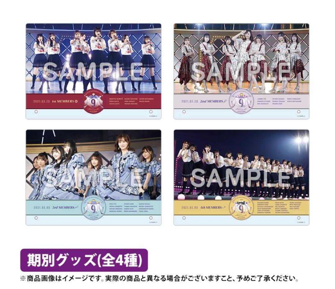 乃木坂46 1期生ライブver.A4アクリルPOP＋1期生クリアファイル付き