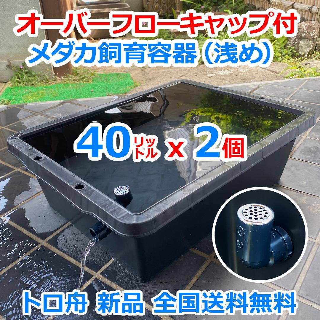【新仕様】メダカ飼育ケース 40㍑トロ舟x2個 オーバーフロー対策済 金魚 睡蓮