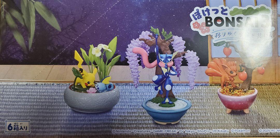 リーメント「ポケモンぽけっとBONSAI③」6種コンプリートBOX