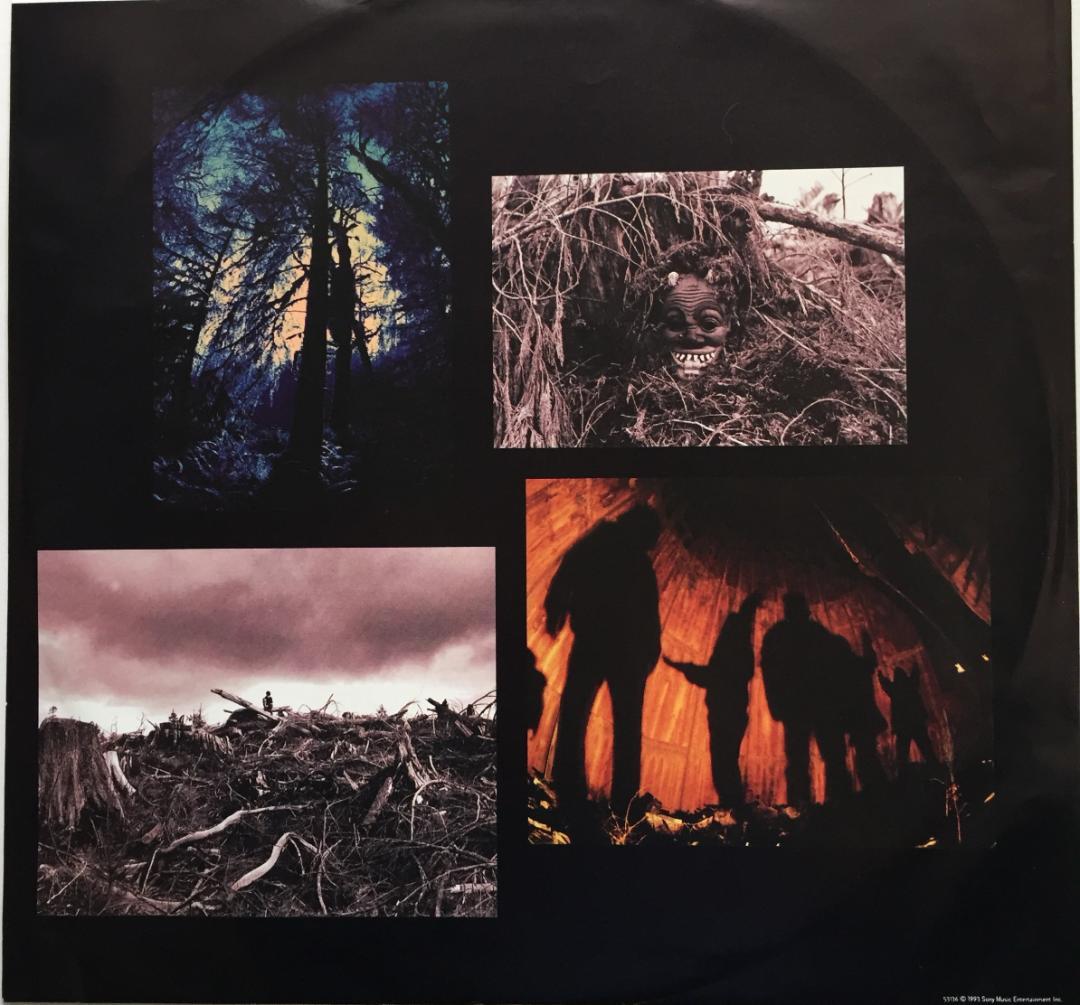 Pearl Jam VS LP レコード 93年オリジナル盤