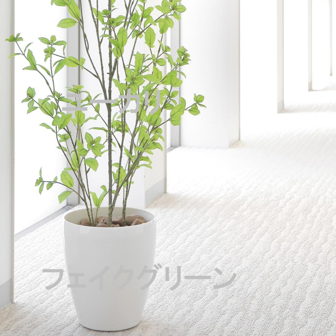 出産祝い 日本製〇フェイクグリーン/観葉植物 【ユーカリ 1.3m】 光触媒 消臭抗菌〇 植物/観葉植物 インテリア・住まい・小物42%割引-WWW.AMEUBLIER.COM 出産祝い 日本製〇フェイクグリーン/観葉植物 【ユーカリ 1.3m】 光触媒 消臭抗菌〇 植物/観葉植物 インテリア・住まい・小物42%割引-WWW.AMEUBLIER.COM