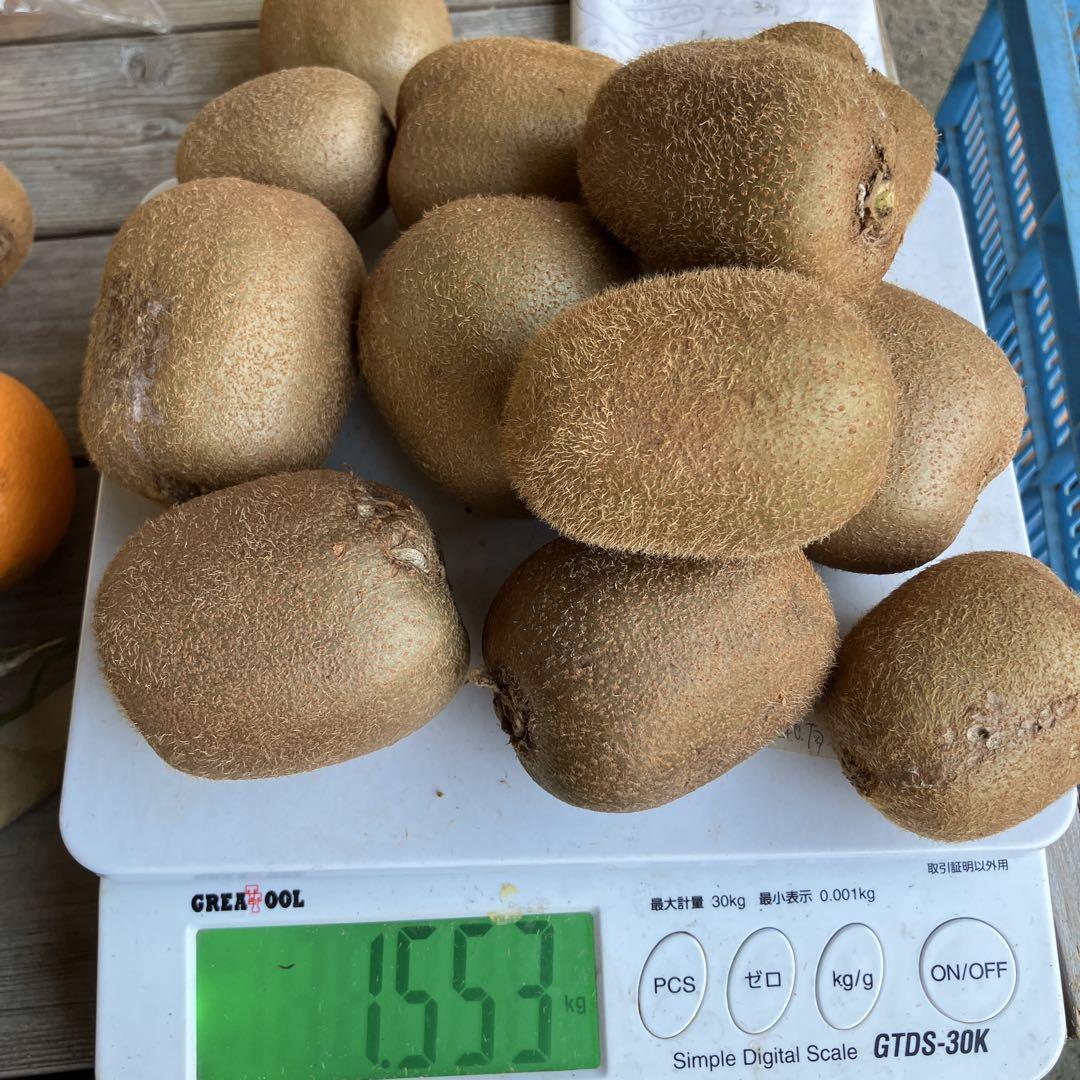 たまき様湘南ゴールド３kg ＆清見オレンジ２kg＆ハネダシキウイ　３kg