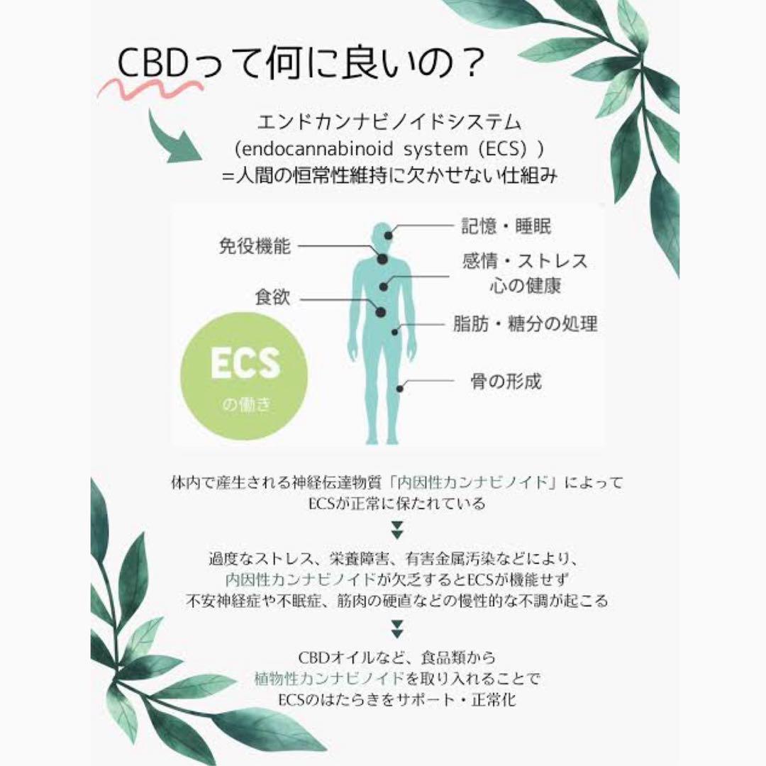 THP 1ml リキッド CBP CBD CDT THXE #831