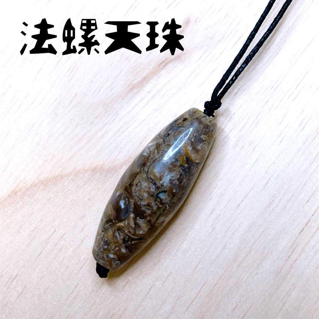 希少法螺天珠 ワックスコードストラップ 根付け 4.5cm