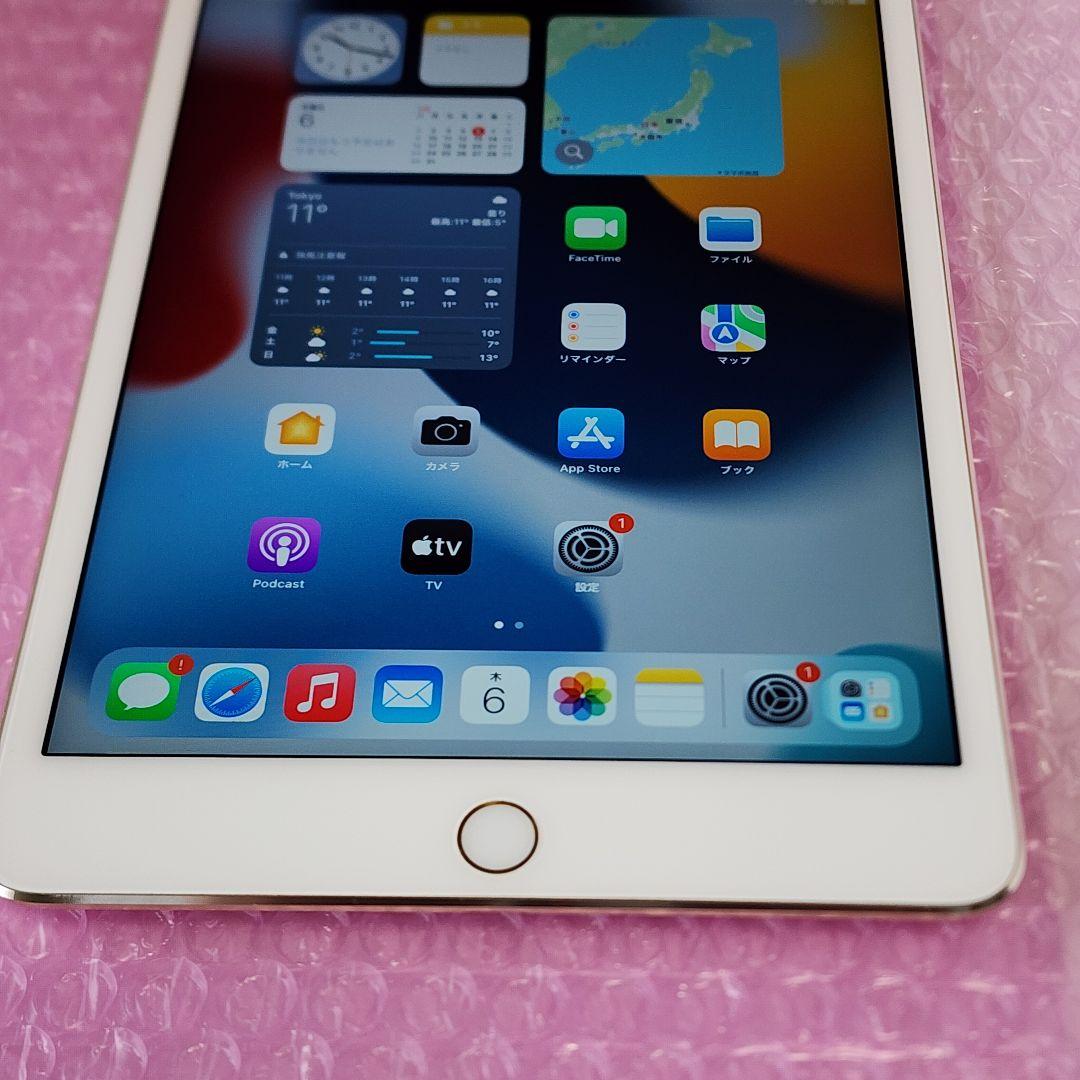iPad