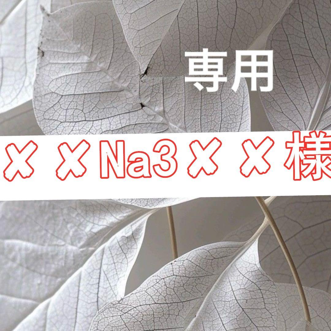 ✘✘Na3✘✘様