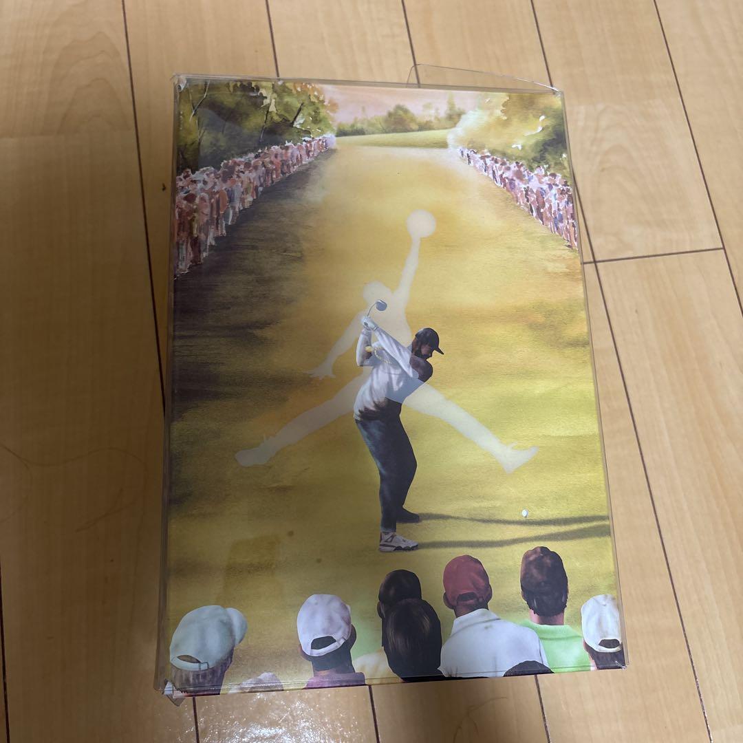 Nike Air Jordan Golf シューズ ブラック