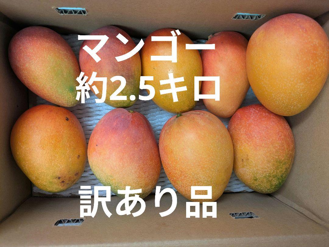 マンゴー　訳あり2.5キロ